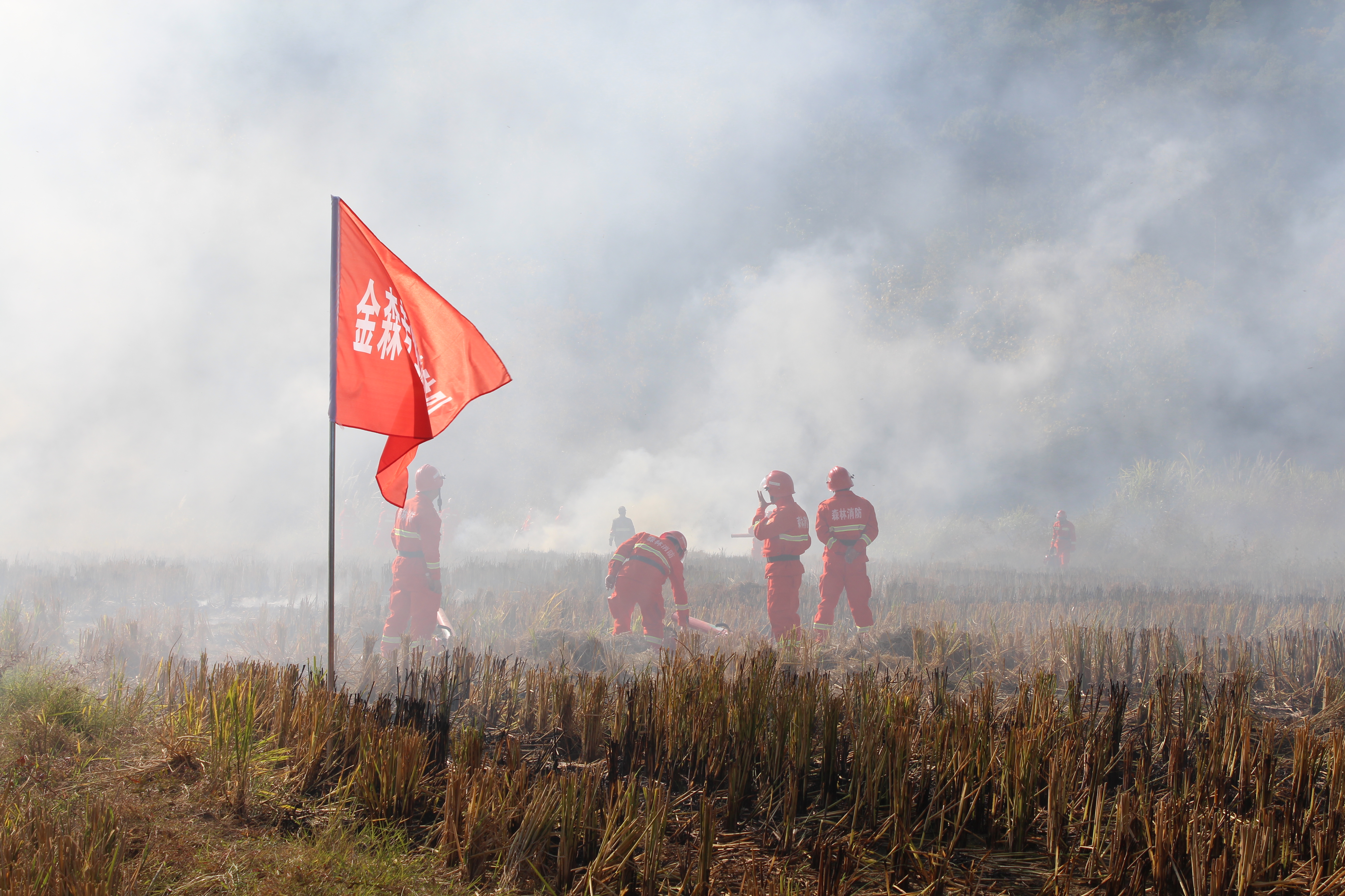 干好每一天|福建金森開展森林防火業務培訓及防火演練