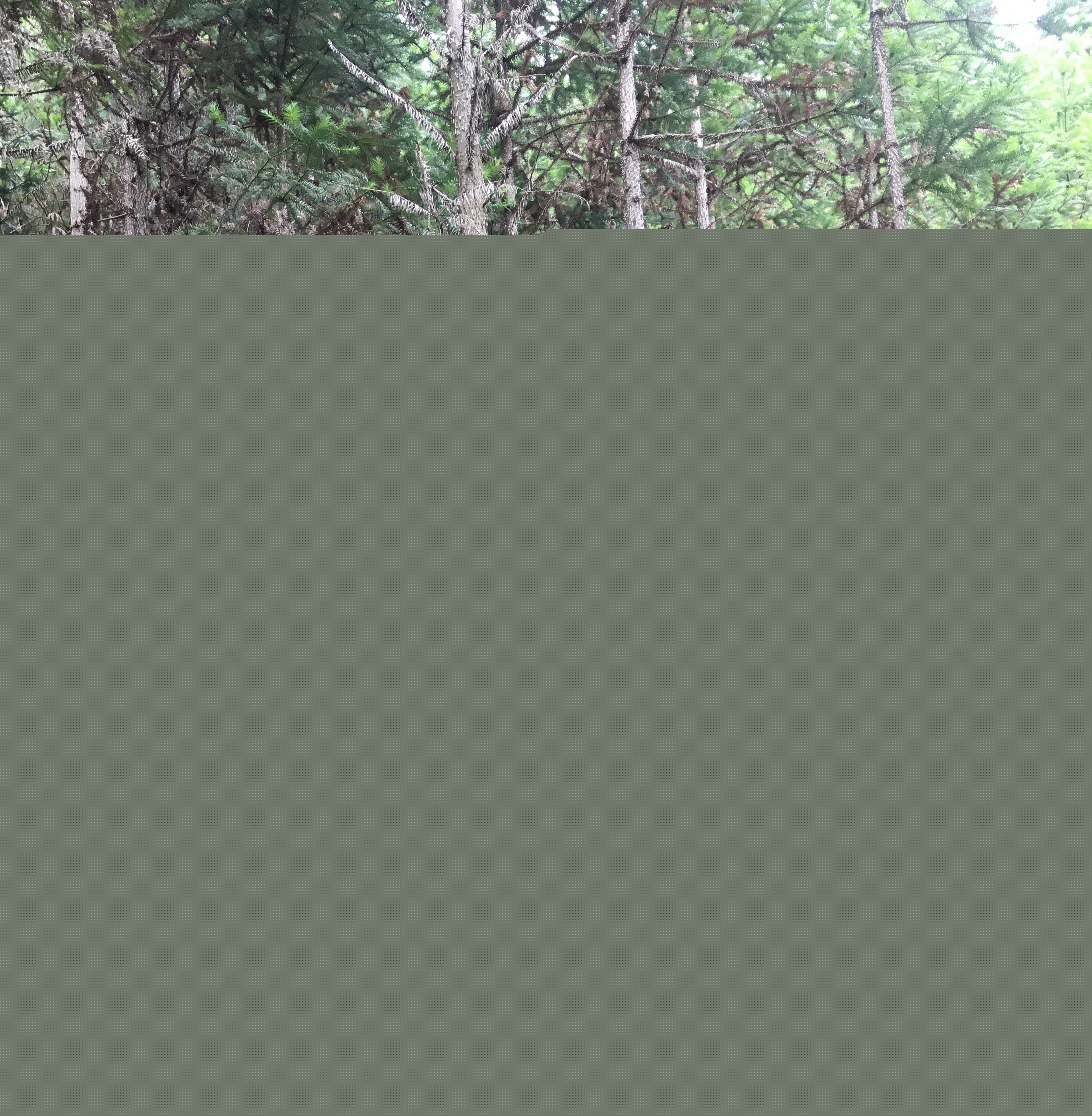 支部結(jié)對共建 促進(jìn)黨建業(yè)務(wù)“雙提升”