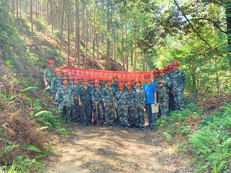 嚴(yán)把森林培育質(zhì)量關(guān)，譜寫資源培育新篇章