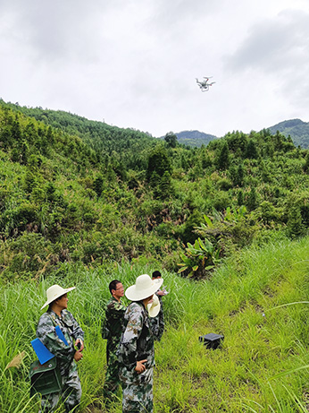 嚴(yán)把森林培育質(zhì)量關(guān)，譜寫資源培育新篇章