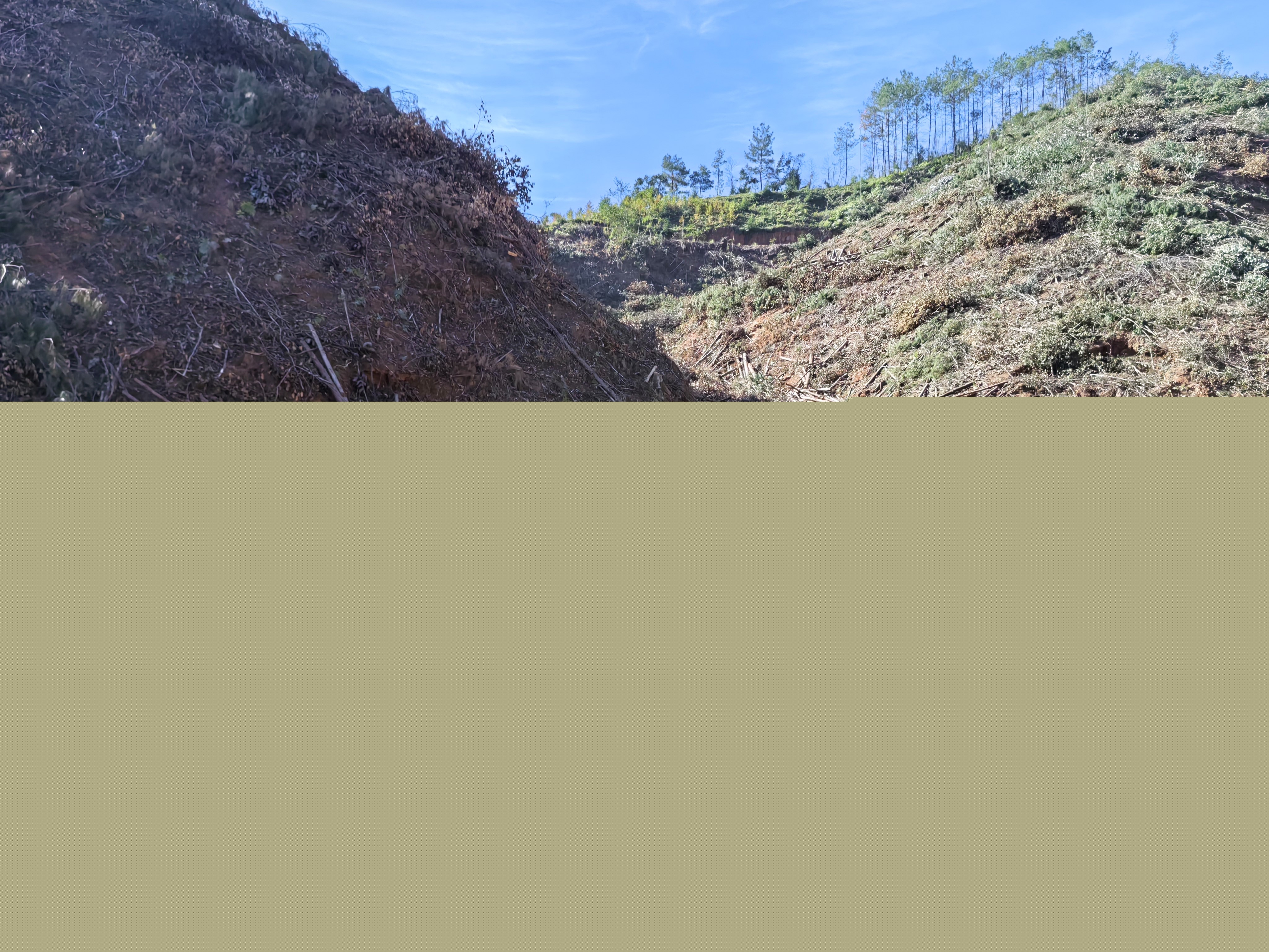 平安常青，我們在行動——常青分公司開展安全生產(chǎn)日活動