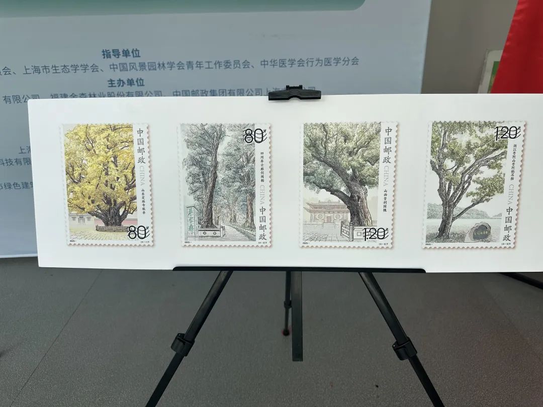 全國(guó)生態(tài)日來(lái)了!福建金森攜手舉辦上海“山海同普·杏好有你”活動(dòng) 全國(guó)生態(tài)日來(lái)了!福建金森攜手舉辦上海“山海同普·杏好有你”活動(dòng)